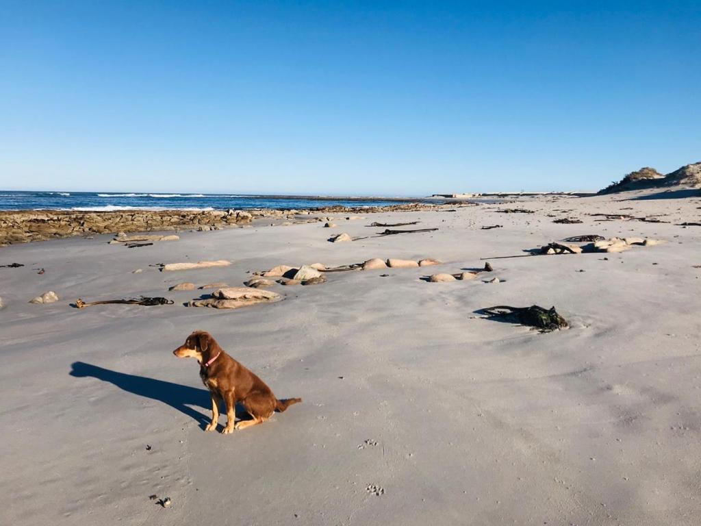 Port Nolloth Beach Shack Экстерьер фото